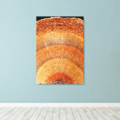 Dieser Kiefernquerschnitt zeigt die Epidermis Leinwanddruck (Insitu (Holzboden))