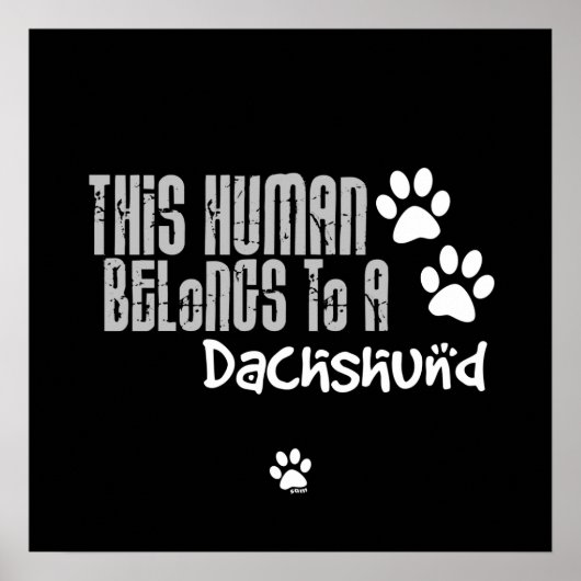 Dieser Mensch gehört einer Dackel an Poster (Vorne)