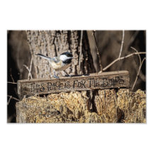 Dieser Ort ist für die Vögel