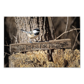 Dieser Ort ist für die Vögel Fotodruck