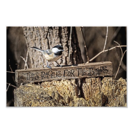 Dieser Ort ist für die Vögel Fotodruck (Vorne)