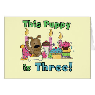 Dieser Welpe sind drei Hemden und Geschenke