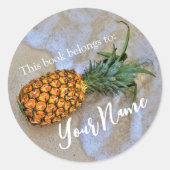 "Dieses Buch gehört" Ananas Beach Aufkleber (Vorderseite)