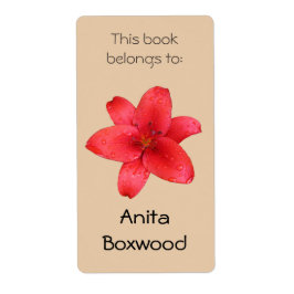 Dieses Buch gehört Individuelle Name Red Lly