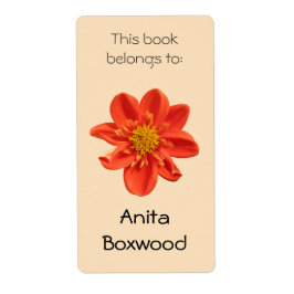 Dieses Buch gehört zu Individuelle Name Orange Blu