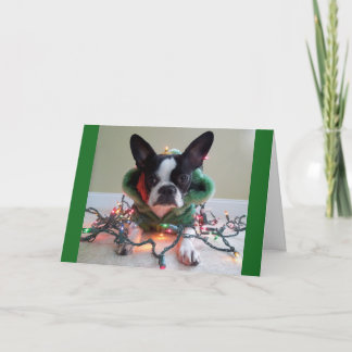 Dieses ELF-Material ist ARBEIT! Feiertagskarte