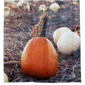 Dieses Herbstgefühl Duschvorhang (Vorderseite)