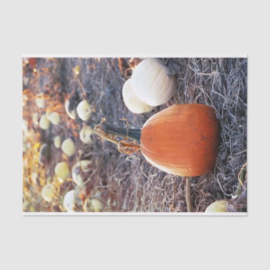Dieses Herbstgefühl Seidenpapier (Vorderseite)
