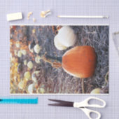 Dieses Herbstgefühl Seidenpapier (Handwerk)
