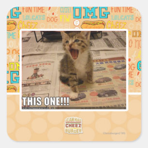 Dieses hier! quadratischer aufkleber