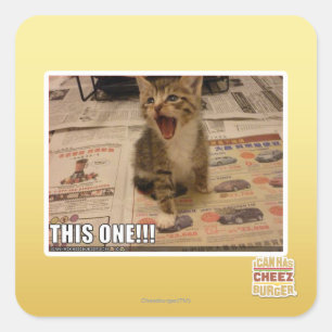 Dieses hier! quadratischer aufkleber