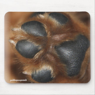 Dieses ist die goldene Penny-TatzenMausunterlage Mousepad