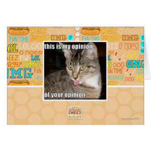 dieses ist meine Meinung