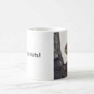 Dieses ist nuts! kaffeetasse