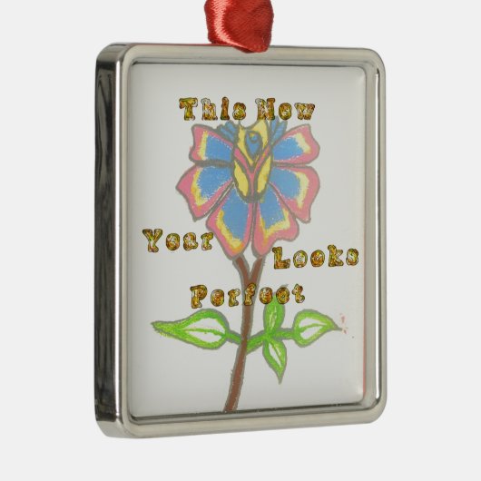 Dieses Jahr sieht perfekt aus.jpg Silbernes Ornament (Rechts)