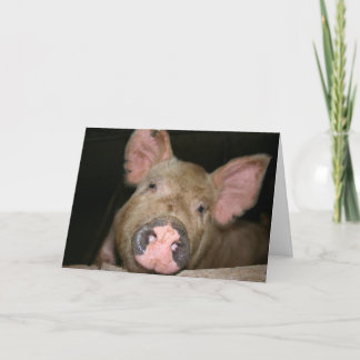 Dieses kleine Ferkel sagt Werde Gesund Karte