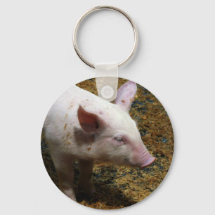 Dieses kleine Piggy - Baby-Ferkel-Foto Schlüsselanhänger