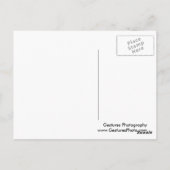 Dieses kleine Schweine Postkarte (Rückseite)