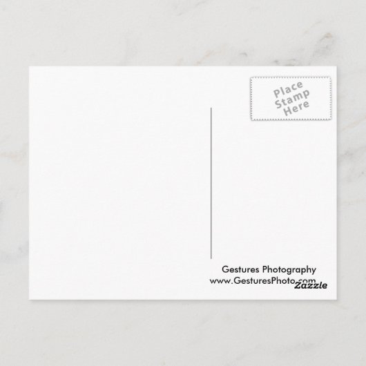 Dieses kleine Schweine Postkarte (Rückseite)