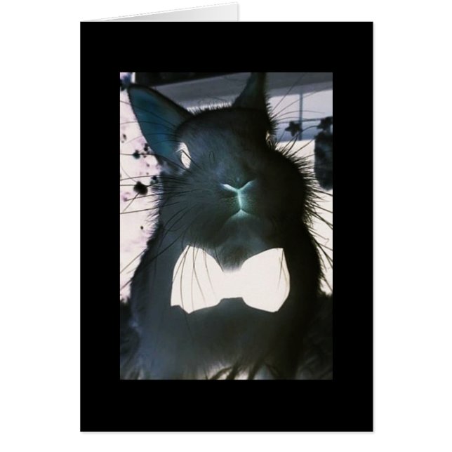 DIESES KRAZY-BUNNY BEDEUTET "GESCHÄFT" **HAPPY EAS (Vorne)