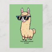 Dieses Lama-Drama ist eine wirklich sonderbare Pos Postkarte (Vorderseite)