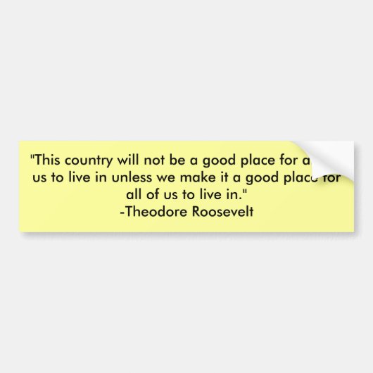 "Dieses Land ist nicht ein guter Ort für Autoaufkleber (Vorne)
