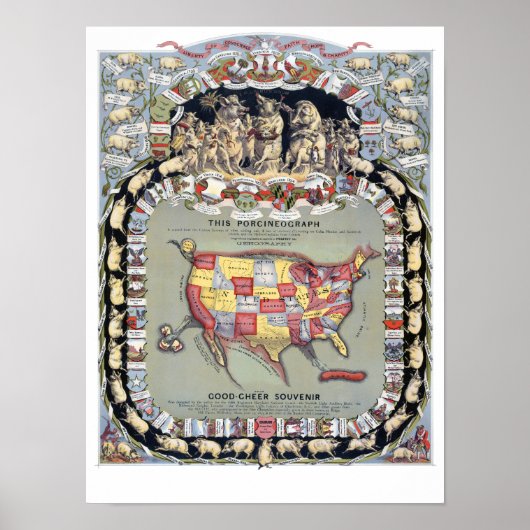 DIESES PORCINEOGRAPH, c1876 Poster (Vorne)