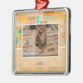 Dieses! Silbernes Ornament (Links)