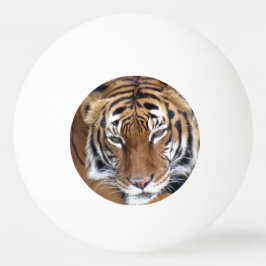 Dieses Tiger bedeutet Business Ping Pong Ball Tischtennisball