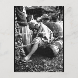 Dieses untröstliche Bild des japanischen Gefangene Postkarte