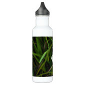 Dietes zweifarbige afrikanische Iris-vierzehn Tage Edelstahlflasche (Links)