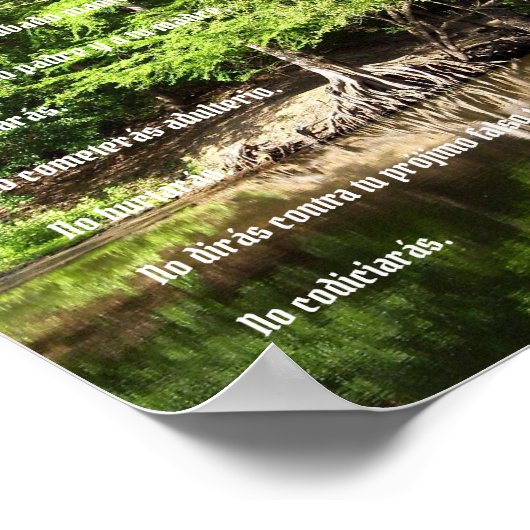 Diez Mandamientos - Ciprés en el Pantano Poster (Ecke)