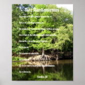 Diez Mandamientos - Ciprés en el Pantano Poster (Vorne)