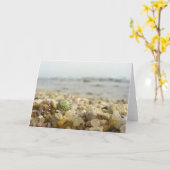 Difference - Shell and Pebbles at the beach Karte (Gelbe Blume)