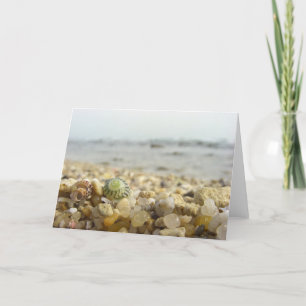 Difference - Shell and Pebbles at the beach Karte
