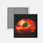 Differenz Magnet (Vorderseite/Rückseite)