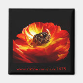 Differenz Magnet (Vorne)