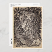 Diffraktiert (Höhlendecker), Flachkarte (Vorne/Hinten)