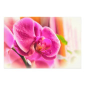 Diffuse Orchid Fotodruck (Vorne)