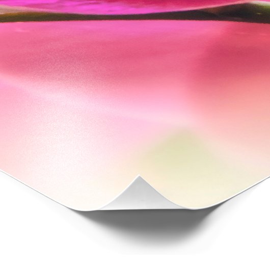 Diffuse Orchid Fotodruck (Ecke)