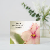 Diffuse Violets Postkarte (Stehend Vorderseite)