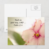 Diffuse Violets Postkarte (Vorne/Hinten)