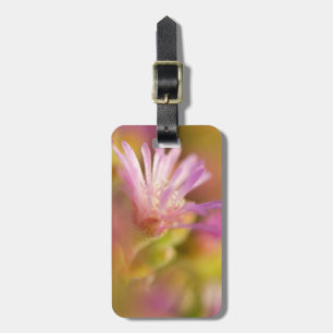 Diffuses Bild einer farbenfrohen Sukkulentenblume Gepäckanhänger
