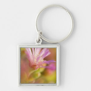 Diffuses Bild einer farbenfrohen Sukkulentenblume Schlüsselanhänger