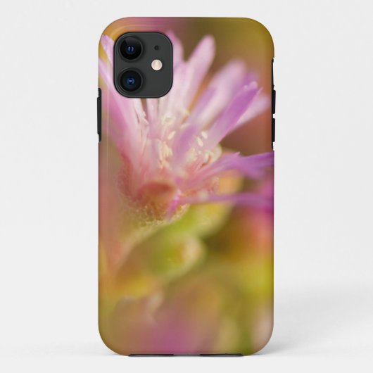 diffuses Bild einer farbigen, sukkulenten Blume Case-Mate iPhone Hülle (Rückseite)