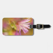 diffuses Bild einer farbigen, sukkulenten Blume Gepäckanhänger (Vorderseite horizontal)