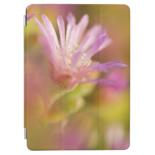 diffuses Bild einer farbigen, sukkulenten Blume iPad Air Hülle