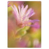 diffuses Bild einer farbigen, sukkulenten Blume Klemmbrett (Rückseite)