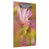 diffuses Bild einer farbigen, sukkulenten Blume Klemmbrett (Rechts)