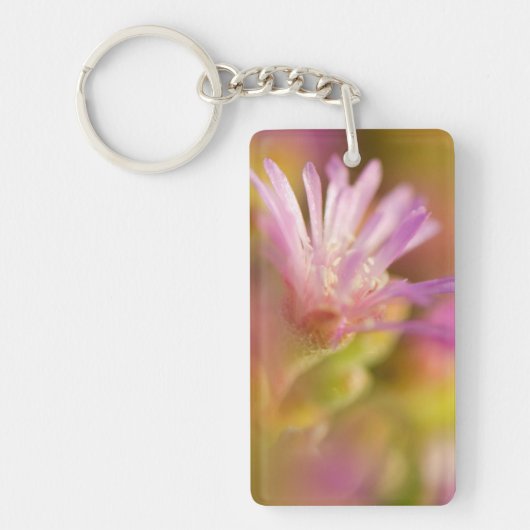 diffuses Bild einer farbigen, sukkulenten Blume Schlüsselanhänger (Vorderseite)